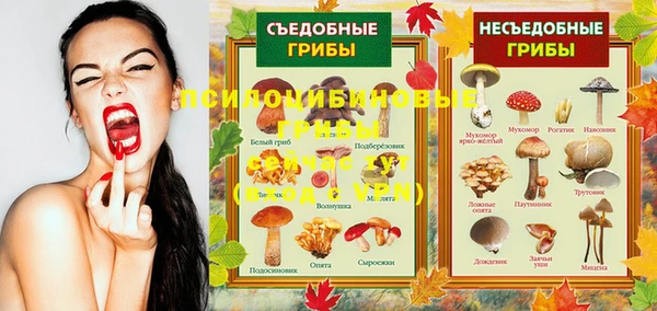 стафф Баксан