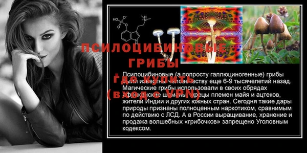 ГАЛЛЮЦИНОГЕННЫЕ ГРИБЫ Долгопрудный